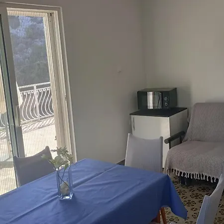 Beachfront Ljubljeva Apartman *